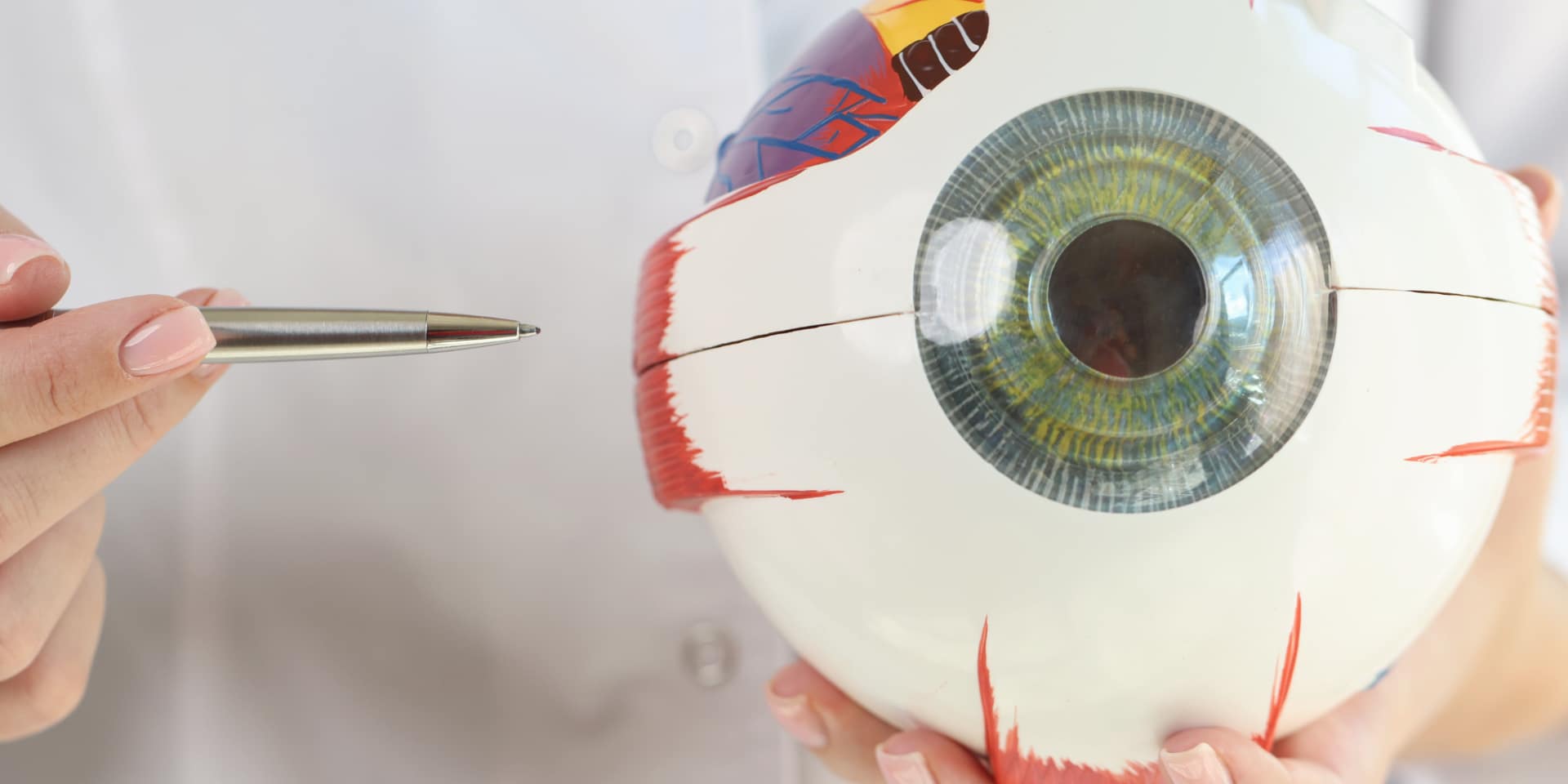 Cristalino o lente natural del ojo: Qué es, funciones y características