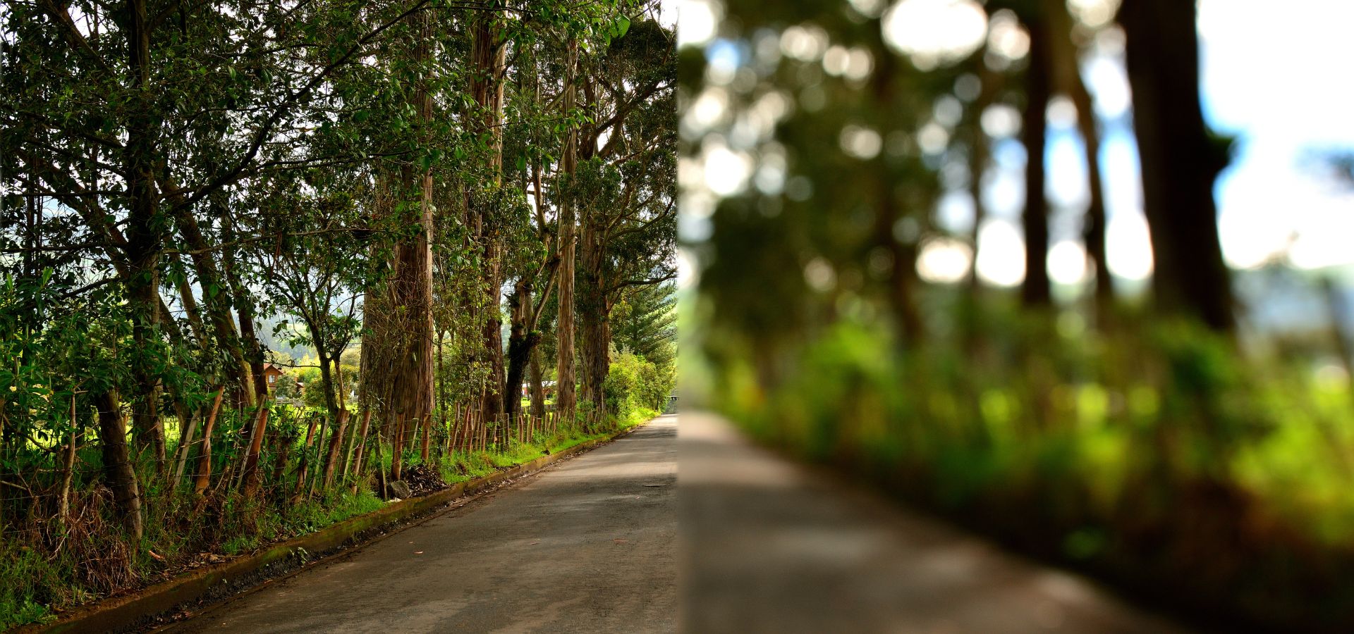 En este artículo conoceremos los efectos del astigmatismo: cómo se ve la visión de una persona con esta afección.