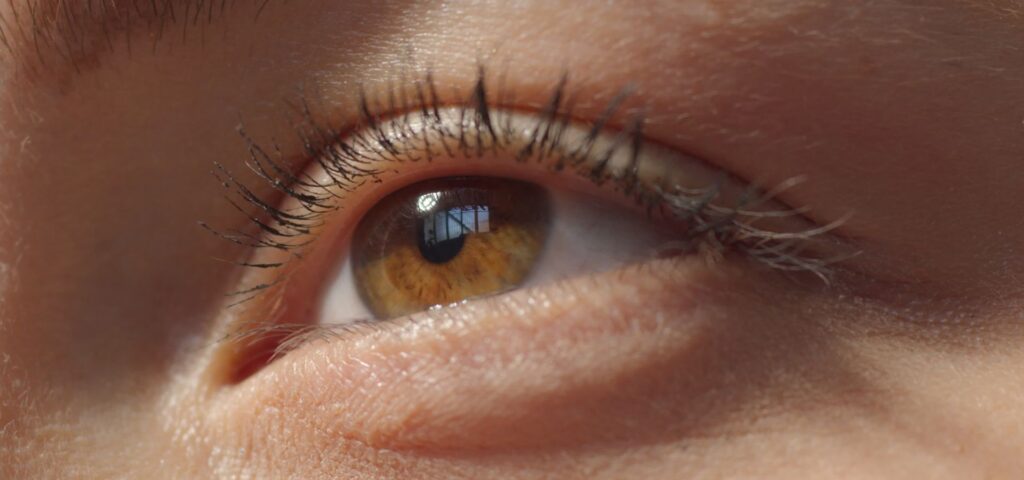 En este artículo, descubrirás qué es el sentido de la vista, cómo funciona, cuáles son las diferentes partes del ojo y sus funciones específicas.